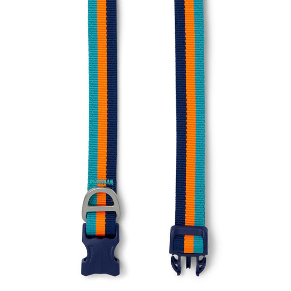 Pawpzilla Multi Color Rugged Stripe Dog Collar - Image 2