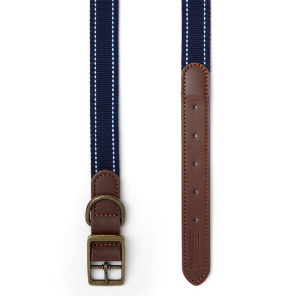 Pawpzilla Leather Trim Dog Collar - Image 2