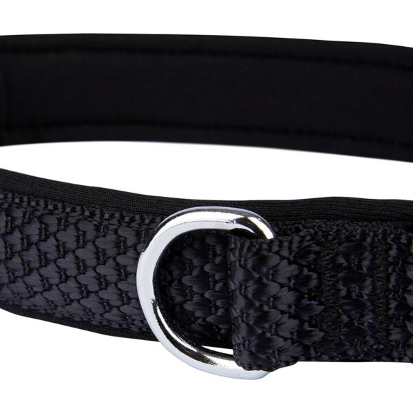 Pawpzilla Woven Padded Dog Collar (Black) - Image 2