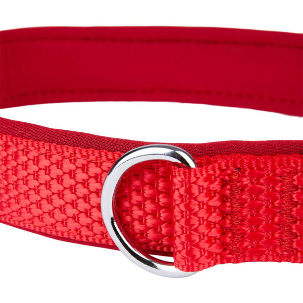 Pawpzilla Woven Padded Dog Collar (Red) - Image 4