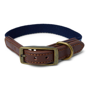 Pawpzilla Leather Trim Dog Collar
