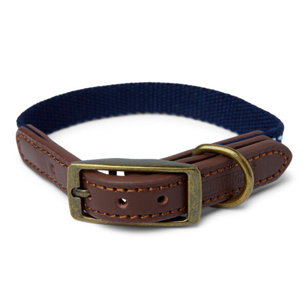 Pawpzilla Leather Trim Dog Collar