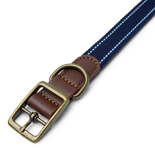 Pawpzilla Leather Trim Dog Collar - Image 3