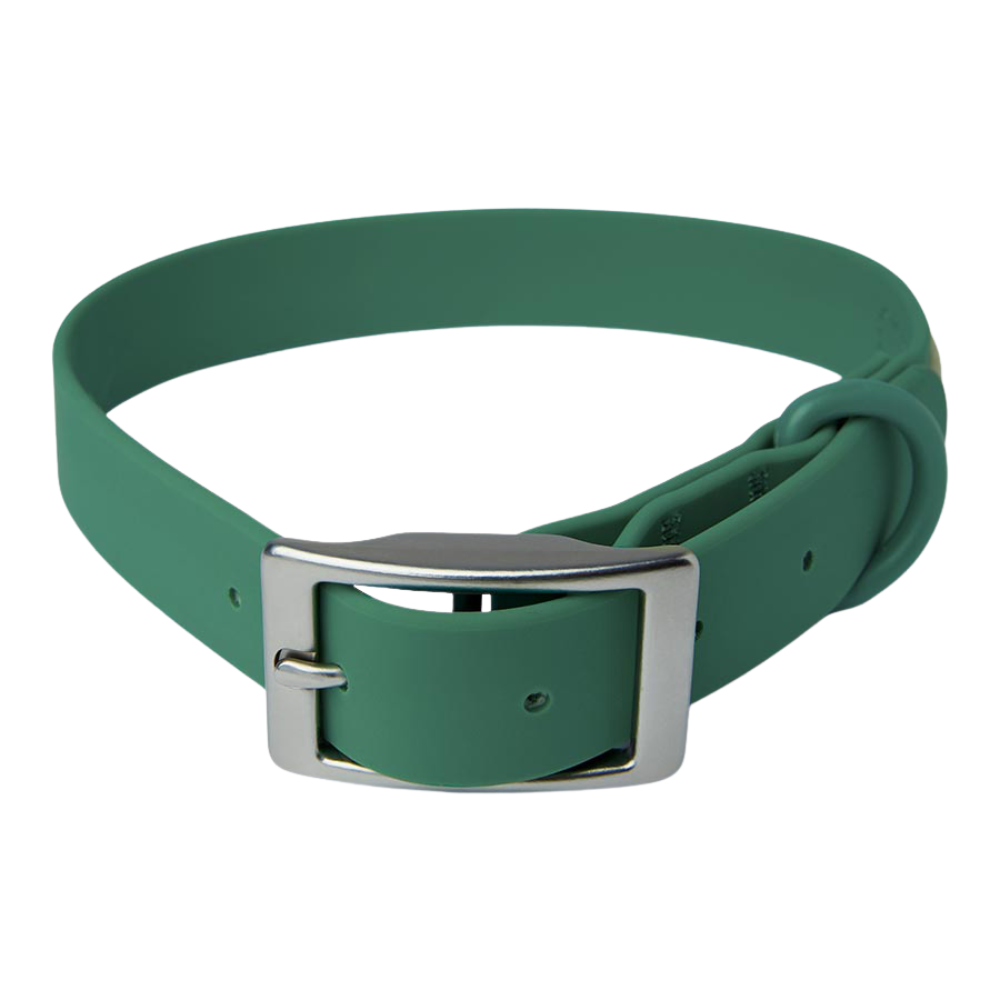 Pawpzilla Adjustable Green Dog Collar with Metal Buckle